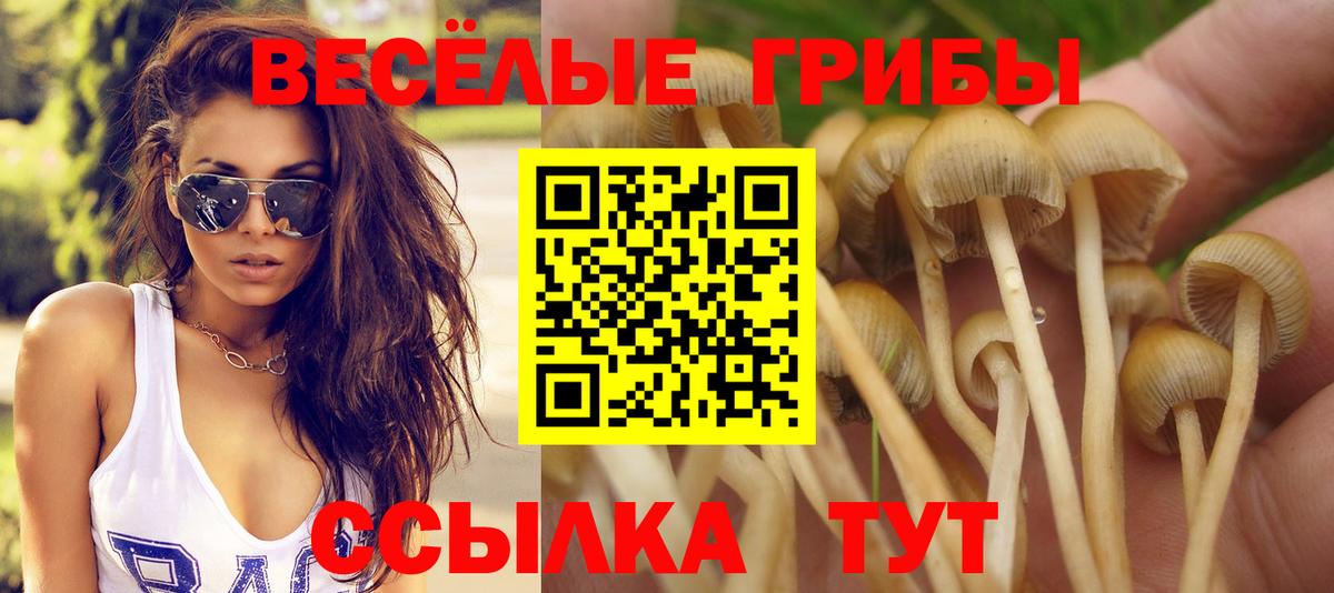 Красноармейск  Галлюциногенные грибы Psilocybine cubensis  Галлюциногенные грибы MAGIC MUSHROOMS  Вход с VPN 